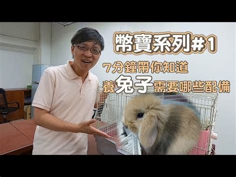 兔子飼養環境